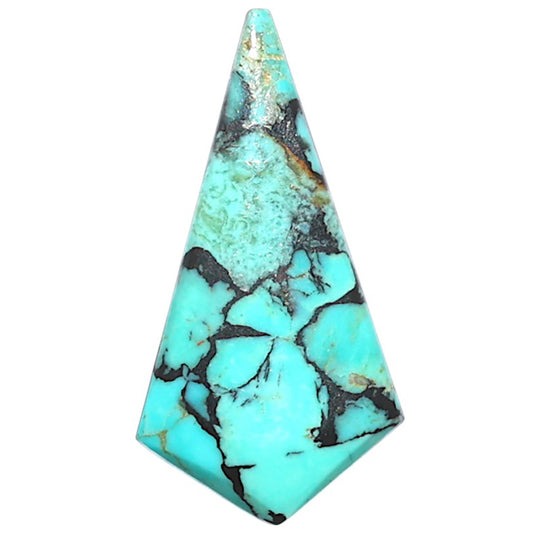 Lucky Charm Tibetan Turquoise 14.7x28.2x3.5 mm Fancy Shape Polished Gemstone LS80-09048