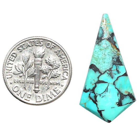 Lucky Charm Tibetan Turquoise 14.7x28.2x3.5 mm Fancy Shape Polished Gemstone LS80-09048