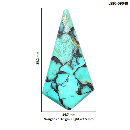 Lucky Charm Tibetan Turquoise 14.7x28.2x3.5 mm Fancy Shape Polished Gemstone LS80-09048