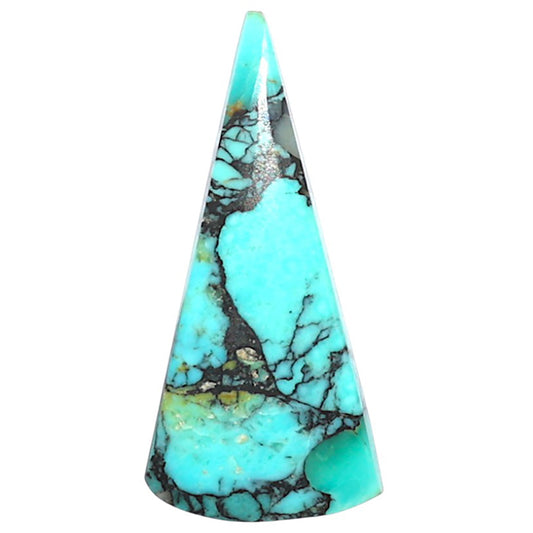 Lucky Charm Tibetan Turquoise 12.8x27.25x3 mm Fancy Shape Polished Gemstone LS80-09051