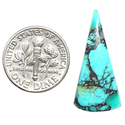 Lucky Charm Tibetan Turquoise 12.8x27.25x3 mm Fancy Shape Polished Gemstone LS80-09051