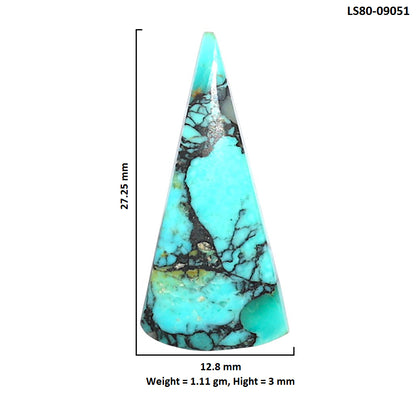 Lucky Charm Tibetan Turquoise 12.8x27.25x3 mm Fancy Shape Polished Gemstone LS80-09051