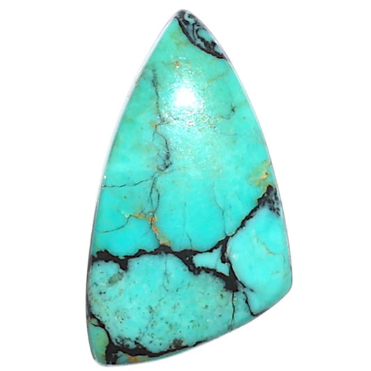 Lucky Charm Tibetan Turquoise 12x21.3x3.5 mm Fancy Shape Polished Gemstone LS80-09055
