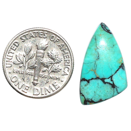 Lucky Charm Tibetan Turquoise 12x21.3x3.5 mm Fancy Shape Polished Gemstone LS80-09055