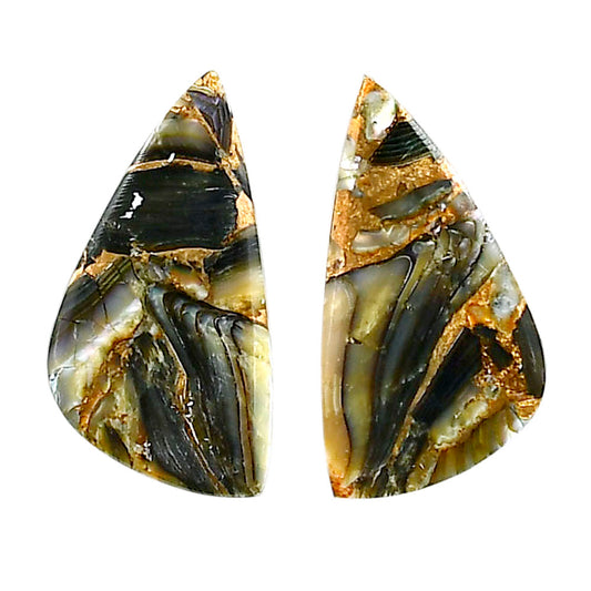 Copper Abalone Shell Pair 13.5x25.2x2.6 mm Fancy Shape Polished Gemstone LS81-04989
