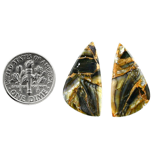 Copper Abalone Shell Pair 13.5x25.2x2.6 mm Fancy Shape Polished Gemstone LS81-04989