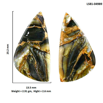 Copper Abalone Shell Pair 13.5x25.2x2.6 mm Fancy Shape Polished Gemstone LS81-04989