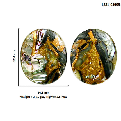 Copper Abalone Shell Pair 14.8x17.6x3.5 mm Oval Shape Polished Gemstone LS81-04995