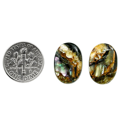 Copper Abalone Shell Pair 12.5x18x3.3 mm Oval Shape Polished Gemstone LS81-04996