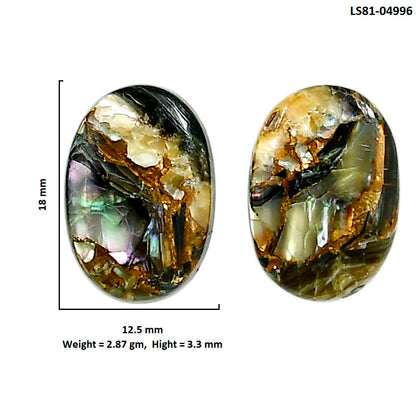 Copper Abalone Shell Pair 12.5x18x3.3 mm Oval Shape Polished Gemstone LS81-04996