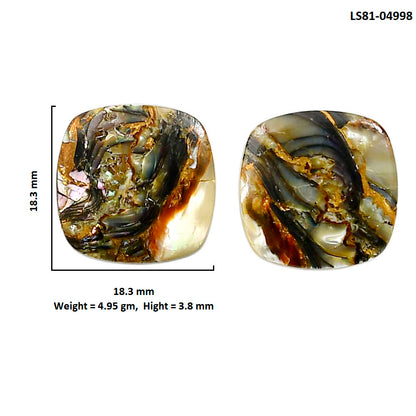 Copper Abalone Shell Pair 18.3x18.3x3.8 mm Cushion Shape Polished Gemstone LS81-04998