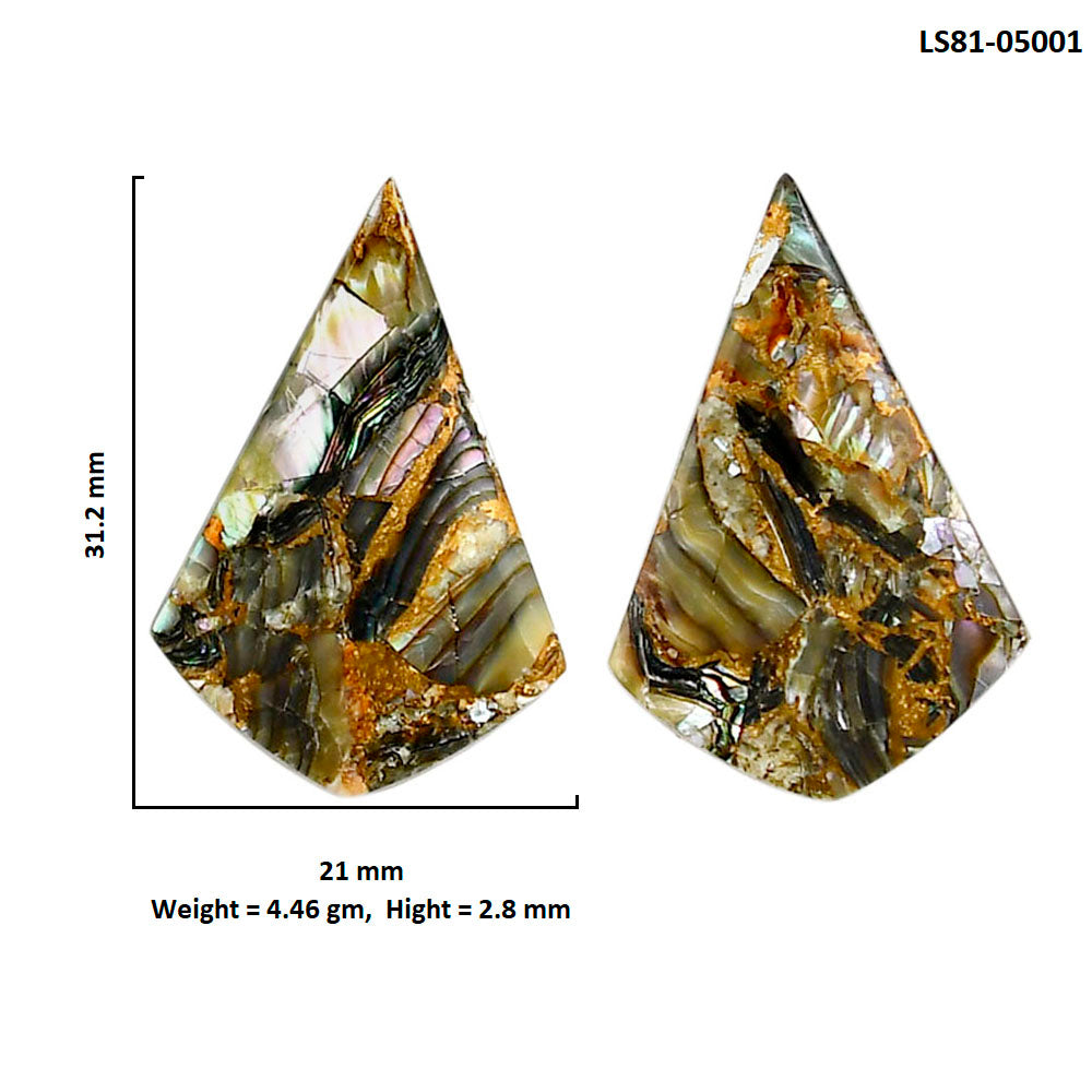 Copper Abalone Shell Pair 21x31.2x2.8 mm Fancy Shape Polished Gemstone LS81-05001