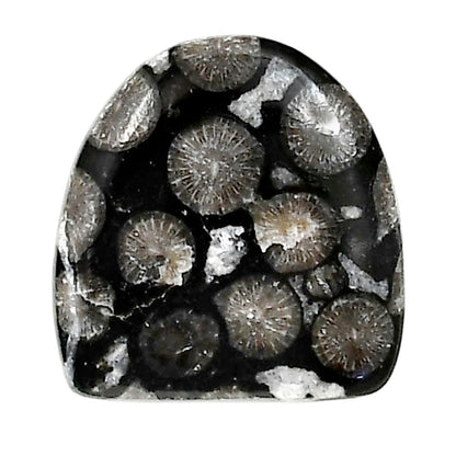 Black Flower Fossil Coral 20.4x21.2x4.5 mm Fancy Shape Polished Gemstone LS82-05006