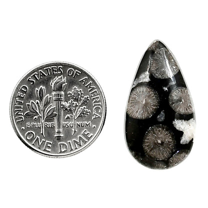 Black Flower Fossil Coral 13.4x24x5 mm Pear Shape Polished Gemstone LS82-05007