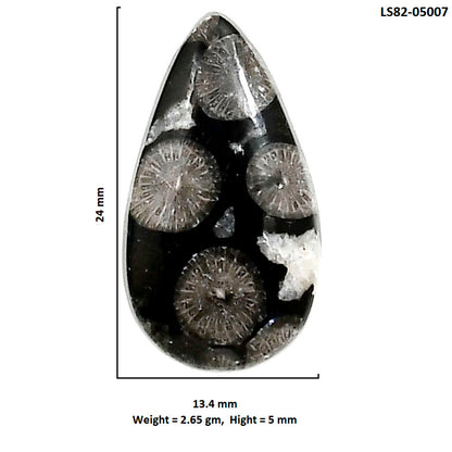 Black Flower Fossil Coral 13.4x24x5 mm Pear Shape Polished Gemstone LS82-05007