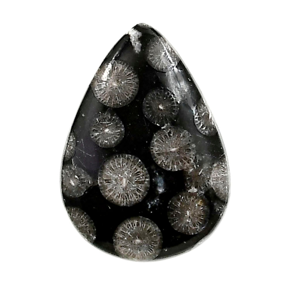 Black Flower Fossil Coral 19x26.65x5 mm Pear Shape Polished Gemstone LS82-05008