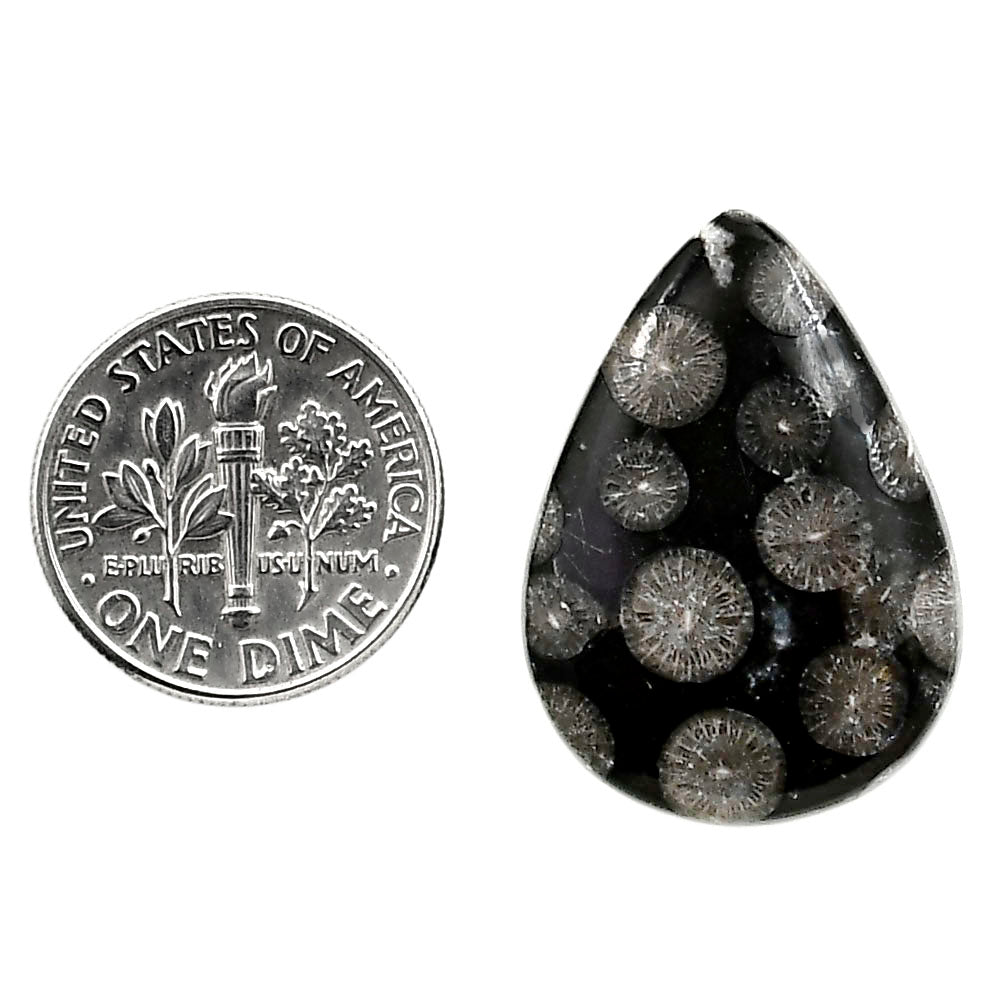 Black Flower Fossil Coral 19x26.65x5 mm Pear Shape Polished Gemstone LS82-05008