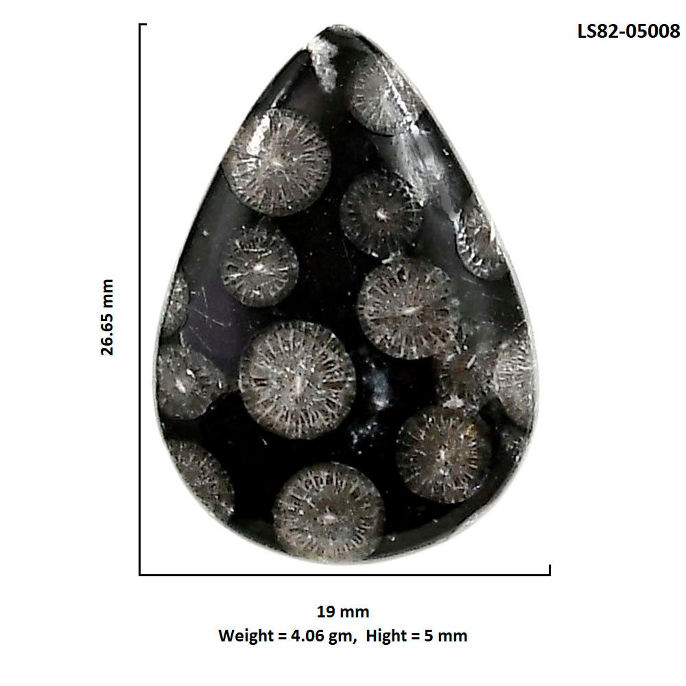 Black Flower Fossil Coral 19x26.65x5 mm Pear Shape Polished Gemstone LS82-05008