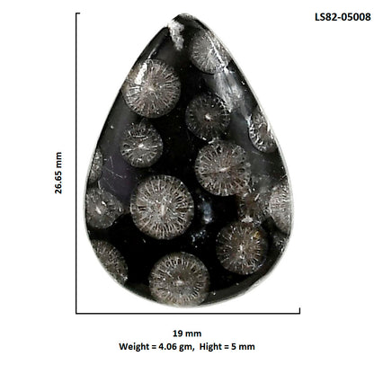 Black Flower Fossil Coral 19x26.65x5 mm Pear Shape Polished Gemstone LS82-05008