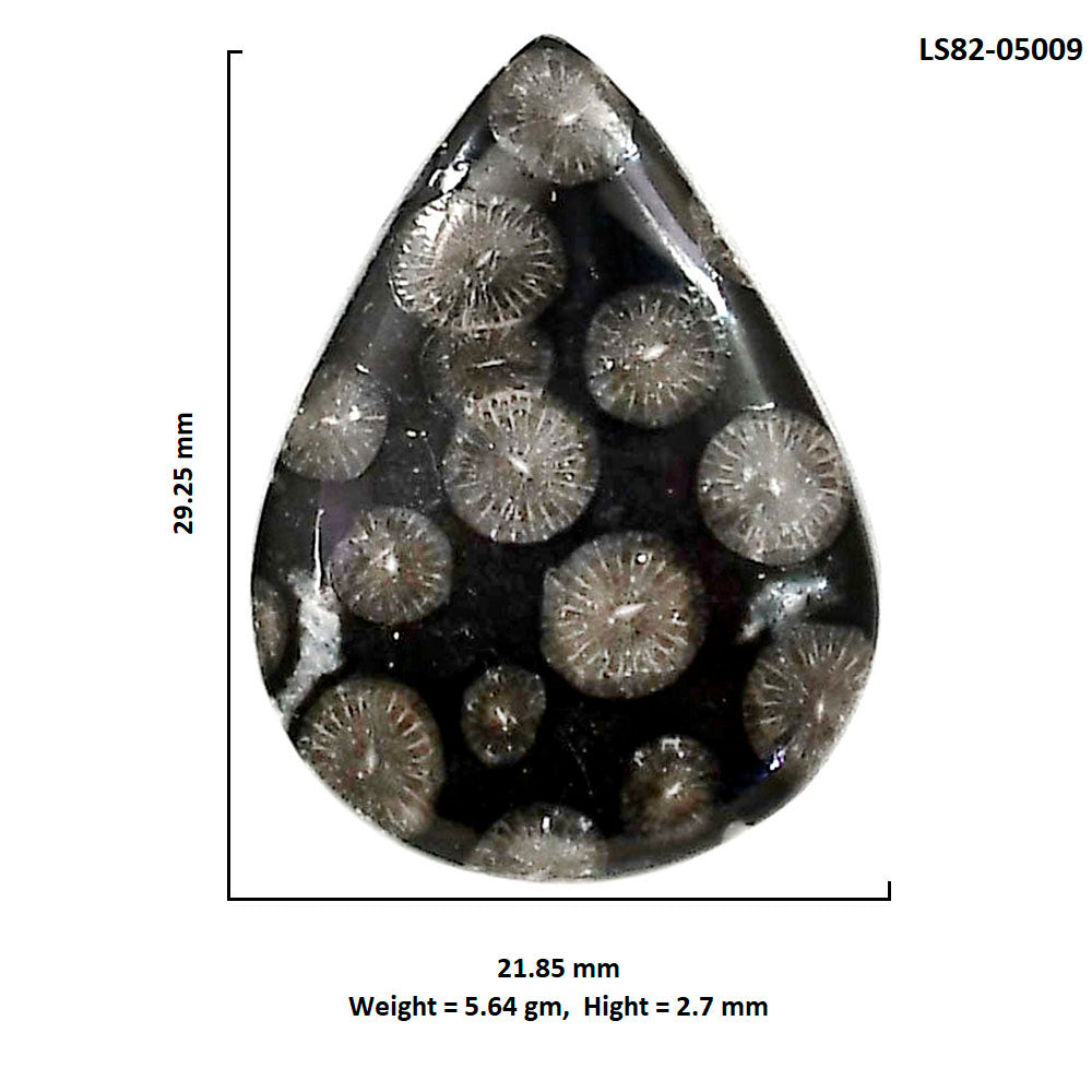 Black Flower Fossil Coral 21.85x29.25x2.7 mm Pear Shape Polished Gemstone LS82-05009