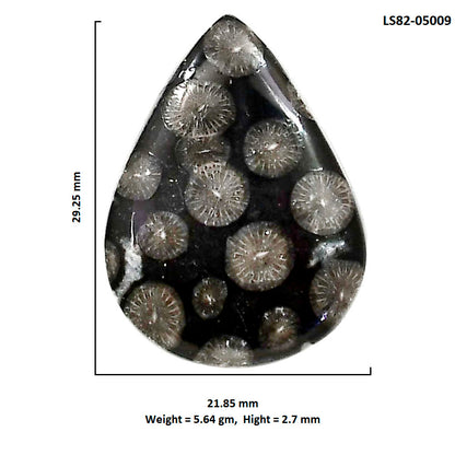 Black Flower Fossil Coral 21.85x29.25x2.7 mm Pear Shape Polished Gemstone LS82-05009