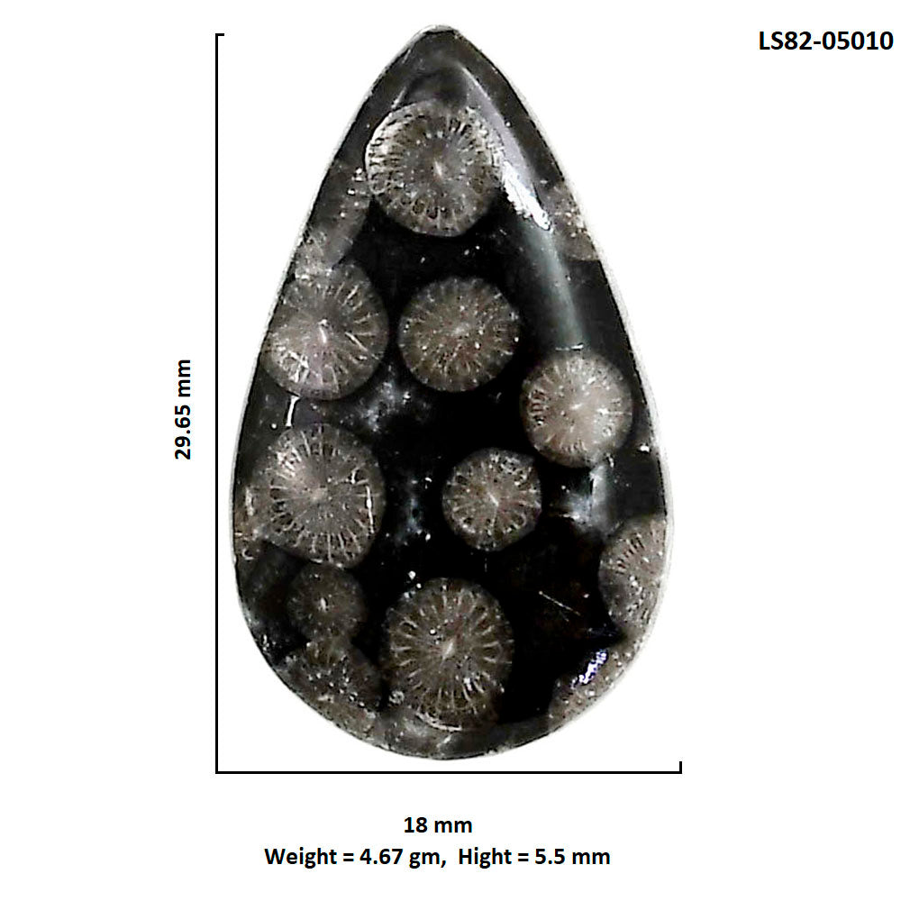 Black Flower Fossil Coral 18x29.65x5.5 mm Pear Shape Polished Gemstone LS82-05010