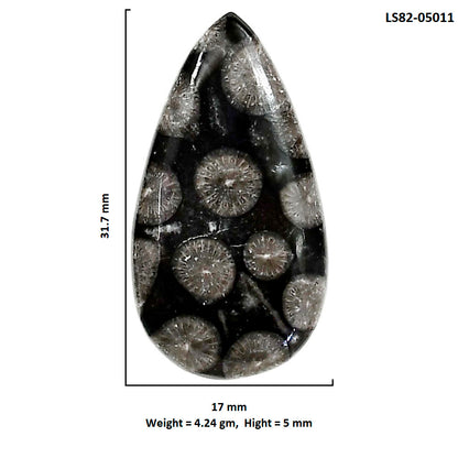Black Flower Fossil Coral 17x31.7x5 mm Pear Shape Polished Gemstone LS82-05011