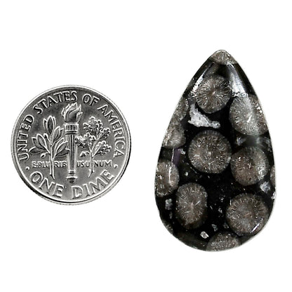 Black Flower Fossil Coral 18.3x30x5 mm Pear Shape Polished Gemstone LS82-05012