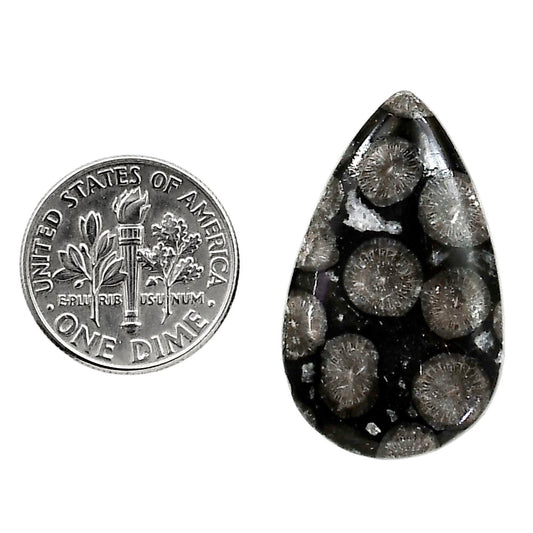 Black Flower Fossil Coral 18.3x30x5 mm Pear Shape Polished Gemstone LS82-05012