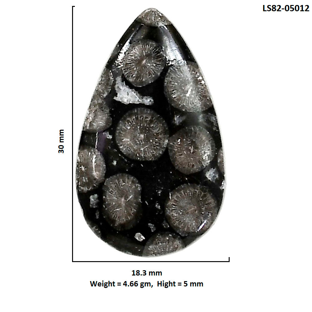 Black Flower Fossil Coral 18.3x30x5 mm Pear Shape Polished Gemstone LS82-05012