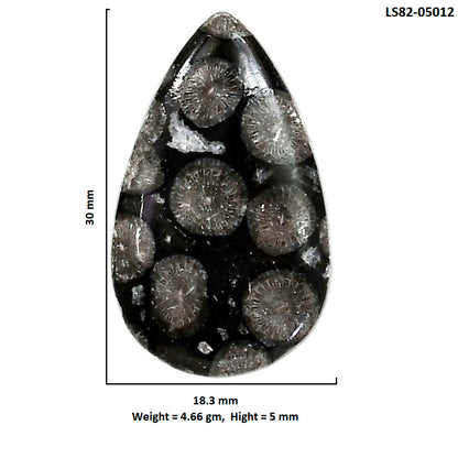Black Flower Fossil Coral 18.3x30x5 mm Pear Shape Polished Gemstone LS82-05012