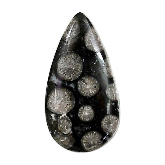 Black Flower Fossil Coral 16x29.55x5.5 mm Pear Shape Polished Gemstone LS82-05013