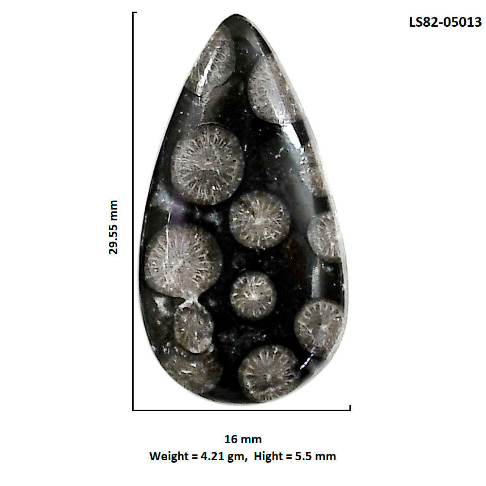 Black Flower Fossil Coral 16x29.55x5.5 mm Pear Shape Polished Gemstone LS82-05013
