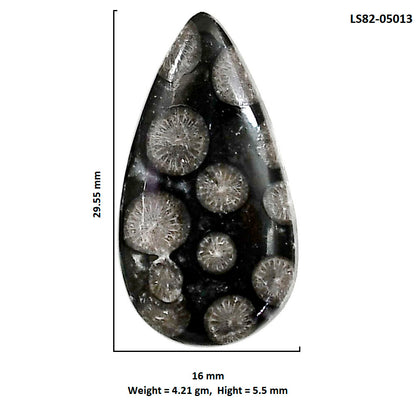 Black Flower Fossil Coral 16x29.55x5.5 mm Pear Shape Polished Gemstone LS82-05013