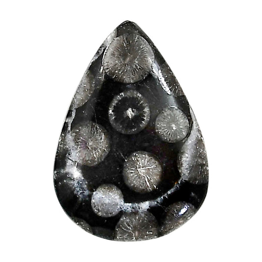 Black Flower Fossil Coral 20.3x28.7x4.7 mm Pear Shape Polished Gemstone LS82-05014