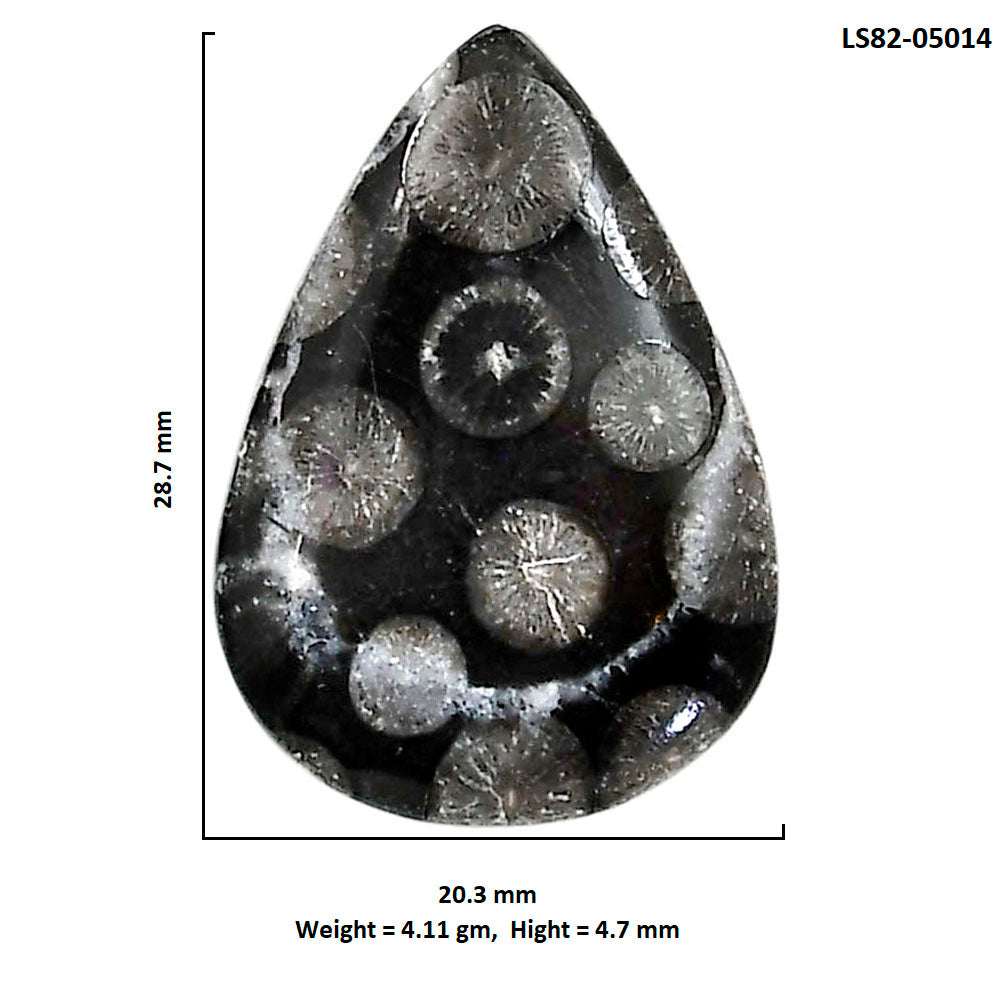 Black Flower Fossil Coral 20.3x28.7x4.7 mm Pear Shape Polished Gemstone LS82-05014