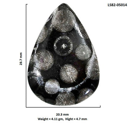 Black Flower Fossil Coral 20.3x28.7x4.7 mm Pear Shape Polished Gemstone LS82-05014