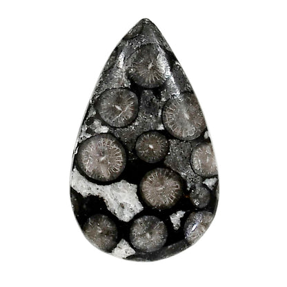 Black Flower Fossil Coral 19.8x31.9x5.5 mm Pear Shape Polished Gemstone LS82-05015