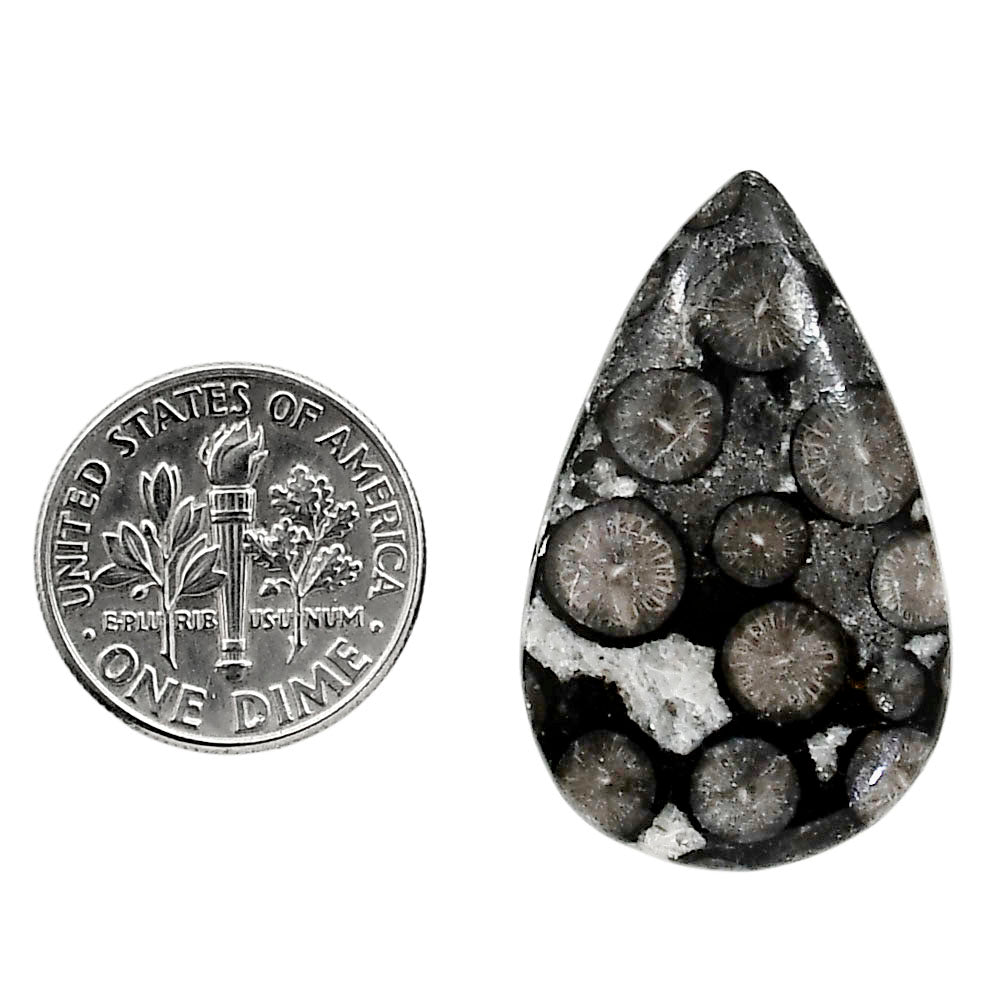 Black Flower Fossil Coral 19.8x31.9x5.5 mm Pear Shape Polished Gemstone LS82-05015