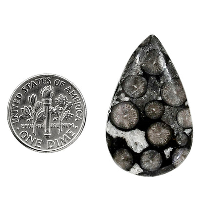 Black Flower Fossil Coral 19.8x31.9x5.5 mm Pear Shape Polished Gemstone LS82-05015