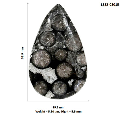Black Flower Fossil Coral 19.8x31.9x5.5 mm Pear Shape Polished Gemstone LS82-05015