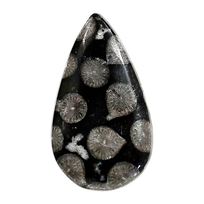 Black Flower Fossil Coral 19.5x33.7x5.3 mm Pear Shape Polished Gemstone LS82-05016