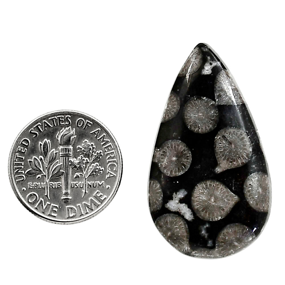 Black Flower Fossil Coral 19.5x33.7x5.3 mm Pear Shape Polished Gemstone LS82-05016