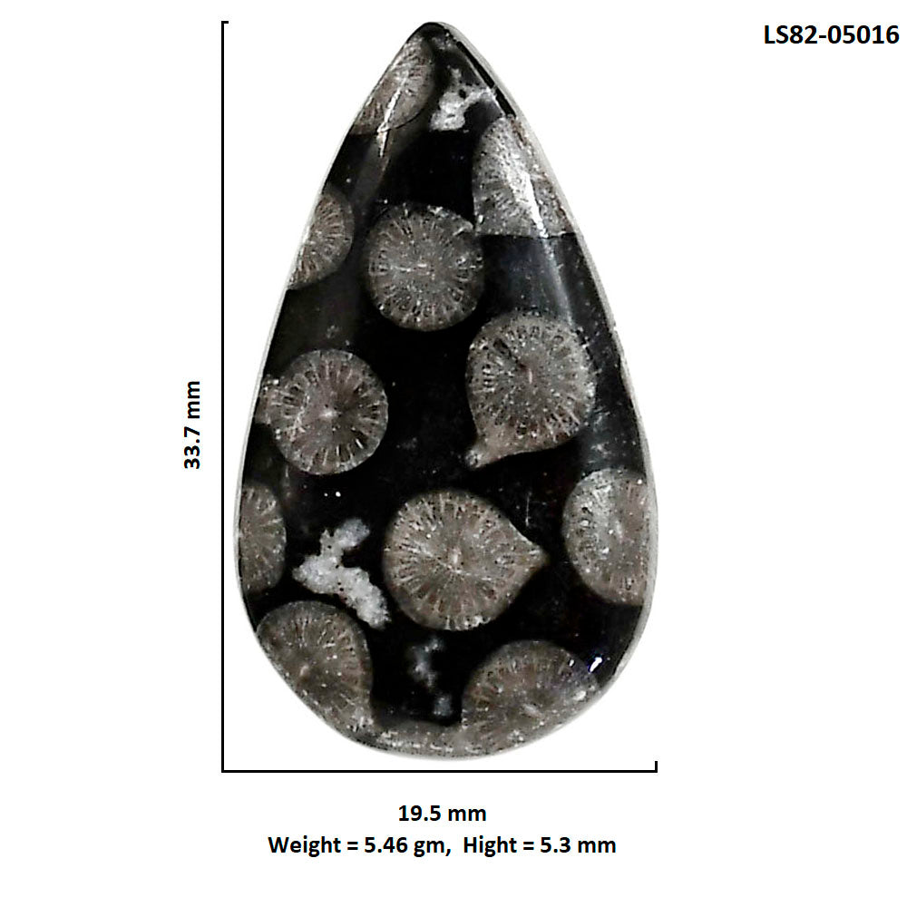 Black Flower Fossil Coral 19.5x33.7x5.3 mm Pear Shape Polished Gemstone LS82-05016
