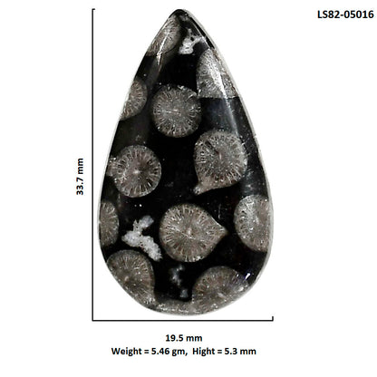 Black Flower Fossil Coral 19.5x33.7x5.3 mm Pear Shape Polished Gemstone LS82-05016