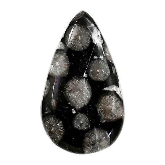 Black Flower Fossil Coral 18.5x31.4x6 mm Pear Shape Polished Gemstone LS82-05017