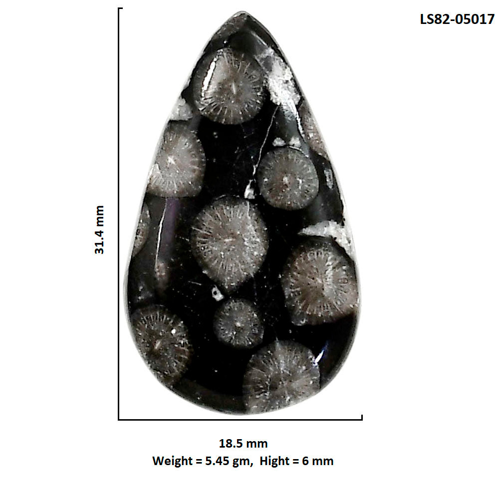 Black Flower Fossil Coral 18.5x31.4x6 mm Pear Shape Polished Gemstone LS82-05017