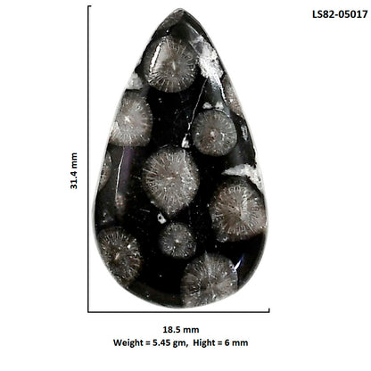 Black Flower Fossil Coral 18.5x31.4x6 mm Pear Shape Polished Gemstone LS82-05017