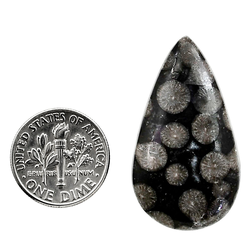 Black Flower Fossil Coral 19.7x34.85x6 mm Pear Shape Polished Gemstone LS82-05018