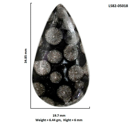 Black Flower Fossil Coral 19.7x34.85x6 mm Pear Shape Polished Gemstone LS82-05018